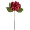 12 Pack: Burgundy Hydrangea Stem by Ashland®